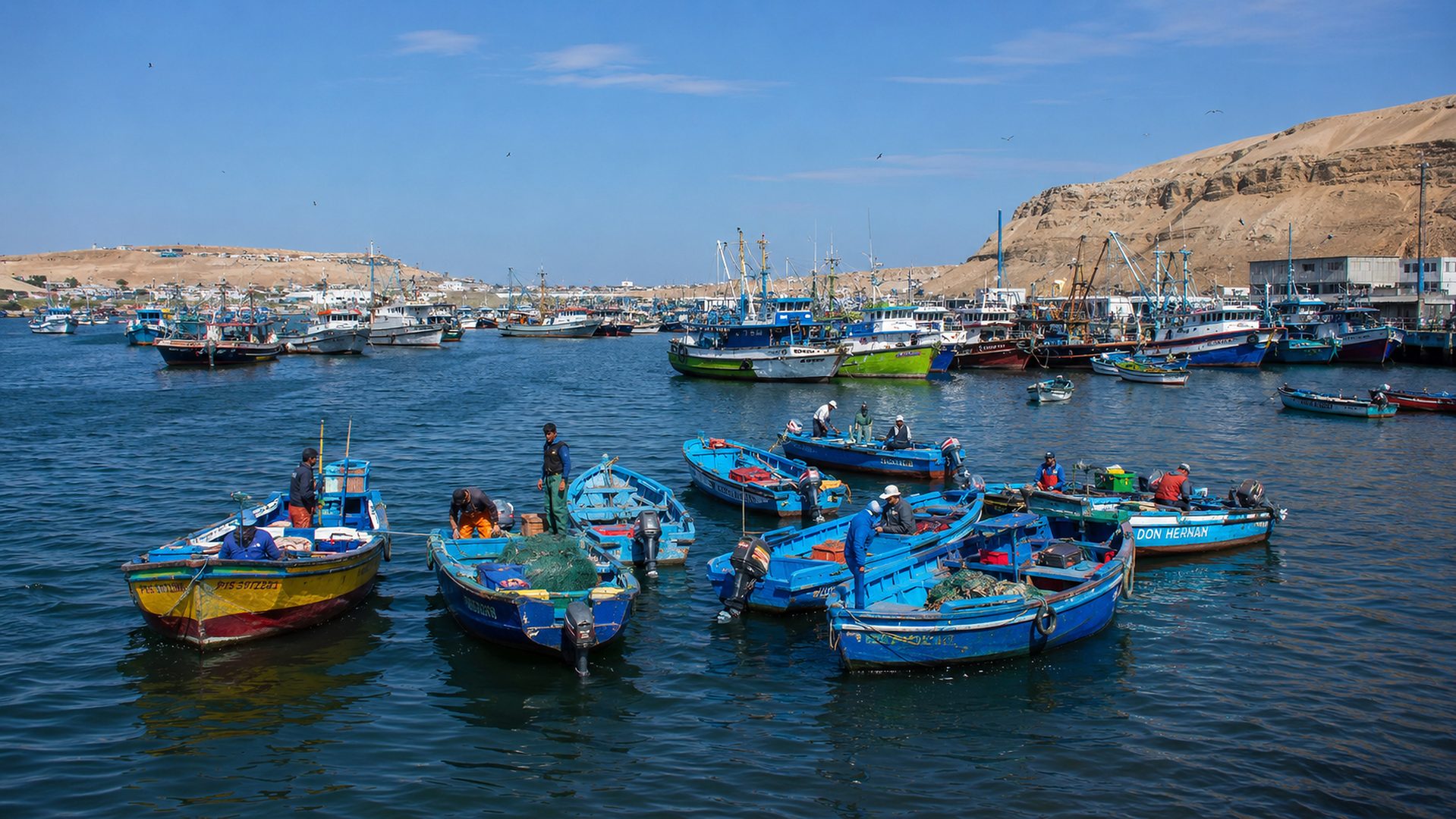 Puerto pesquero artesanal y embarcaciones